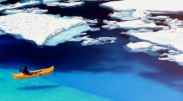 Floating on Blue, Glacier Bay, Alaska