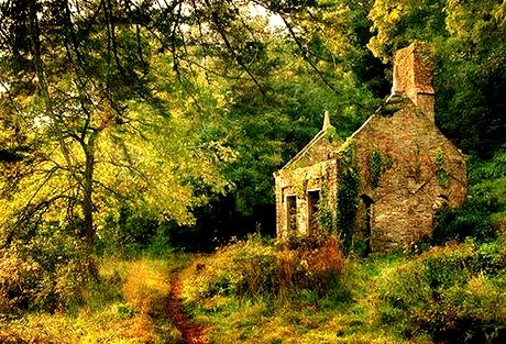 Ancient Abandoned House, Devon, England