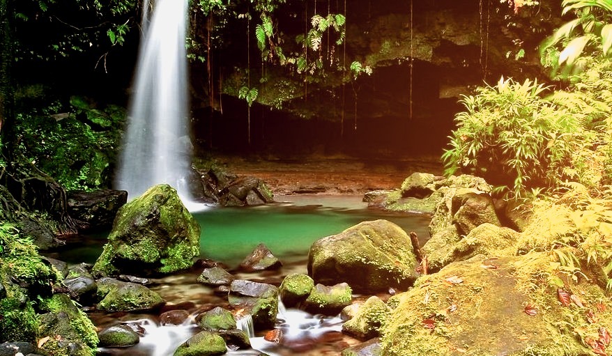 Emerald Pool - Island of Dominica.