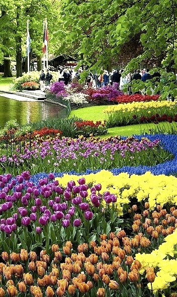 The colours of Keukenhof Gardens, Lisse, Netherlands