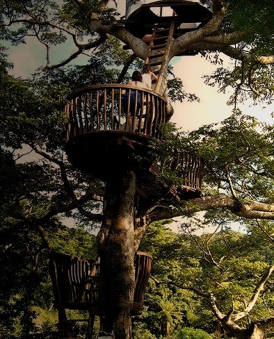Beach Rock Tree House in Okinawa Islands, Japan