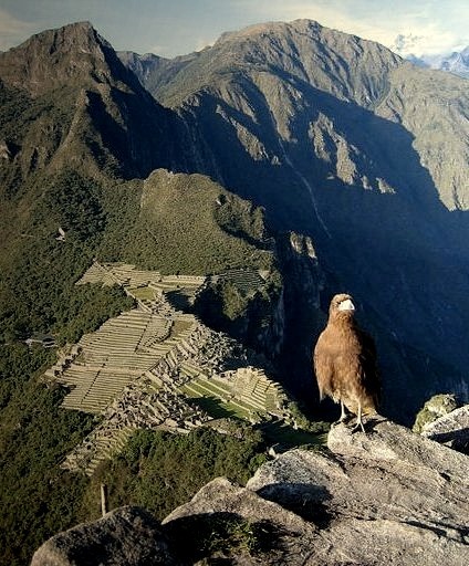 Looking at Machu Picchu from above, Peru