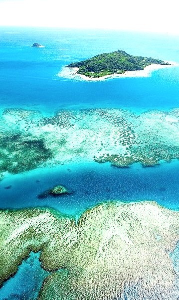 The coral reef near Castaway Island, Fiji