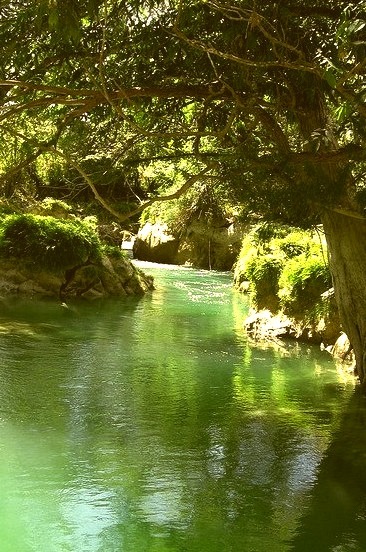 Emerald river in Huasteca Potosina, Mexico