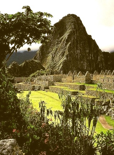 Ancient garden, Machu Picchu / Peru